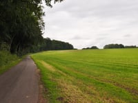 Geteloweg da Höcklenkamp
