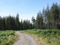 Getenberg von Wesertalsperre