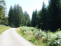 Getenberg von Wesertalsperre