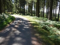 Getenberg von Wesertalsperre