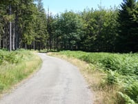 Getenberg von Wesertalsperre