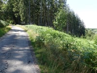 Getenberg von Wesertalsperre