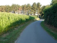 Geuzenbaan über Spreeuwerstraat