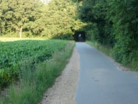 Geuzenbaan über Spreeuwerstraat