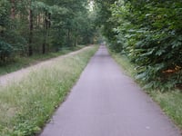 Geuzenbaan über Spreeuwerstraat