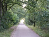 Geuzenbaan über Spreeuwerstraat