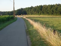 Geuzenbaan