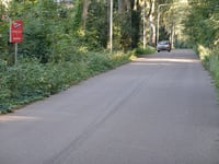 Ginkelseweg von Kievitsdel
