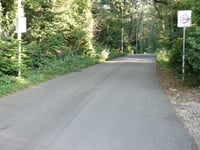 Ginkelseweg von Kievitsdel