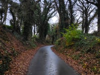 Ginsterweg von Kalkar