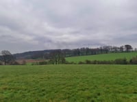 Ginsterweg von Kalkar