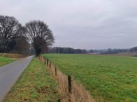 Ginsterweg von Kalkar