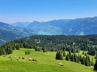 Glaubenbielen von Giswil