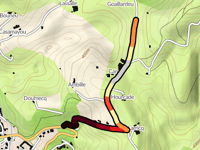 Goaillardeu par Camou