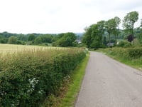 Goedenraadsberg