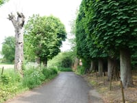 Goedenraadsberg