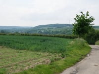 Goedenraadsberg