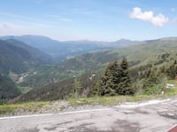 Gogio del Maniva von Predondo