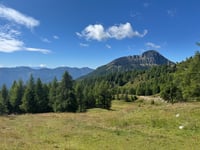 Goldeck from Mauthbrücken