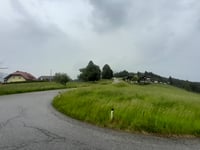 Goldeck von Nikelsdorf
