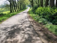 Gölenkamper Strasse von Wilsum