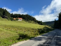 Golte desde Mozirje