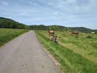 Gomólnik Mały da Głuszyca via Łomnica