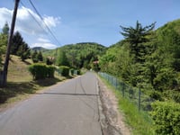 Gomólnik Mały über Grzmiąca