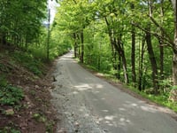 Gomólnik Mały über Grzmiąca
