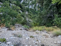 Gorges de la Nesque da Villes-sur-Auzon