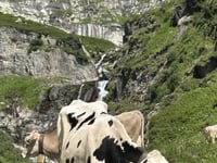 Passo San Gottardo / Tremolapass