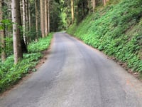 Gottschalkenberg z Bostadel