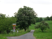 Götzeroth przez Emmeroth