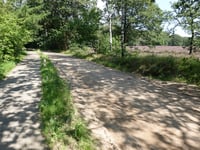Goudsberg von Driesprong
