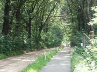 Goudsberg von Driesprong
