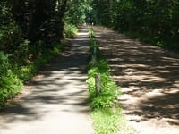 Goudsberg von Driesprong