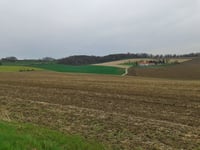 Goudsberg z Valkenburg