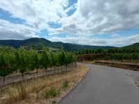 Graacher Schäferei z Bernkastel-Kues