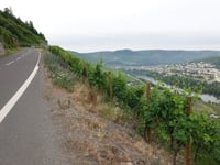 Graacher Schäferei da Graach an der Mosel