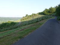 Graacher Schanz da Graach an der Mosel