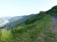 Graacher Schanz depuis Graach an der Mosel