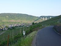 Graacher Schanz da Zeltingen