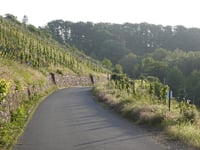Graacher Schanz da Zeltingen