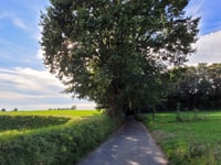 Grachtweg von Schinveld