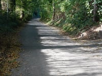 Grachtweg von Schinveld
