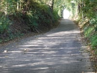 Grachtweg von Schinveld