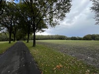 Grafenstrasse von Exterheider Damm