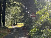 Grafenstrasse von Exterheider Damm