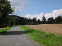 Grafenstrasse von Leeden