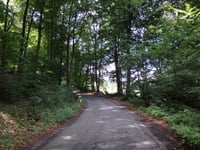 Grafenstrasse von Leeden
